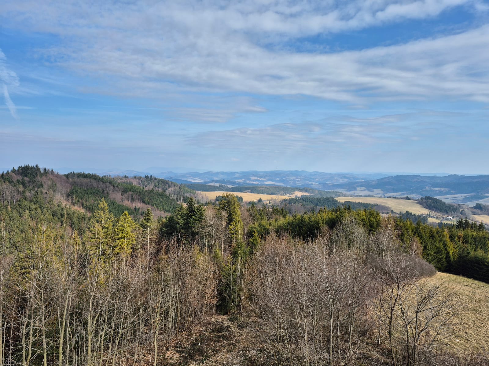 WhatsApp Image 2026-04-14 at 22.14.56